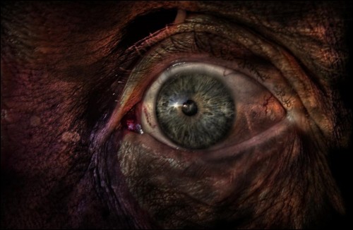 It Also Gazes... by daq7