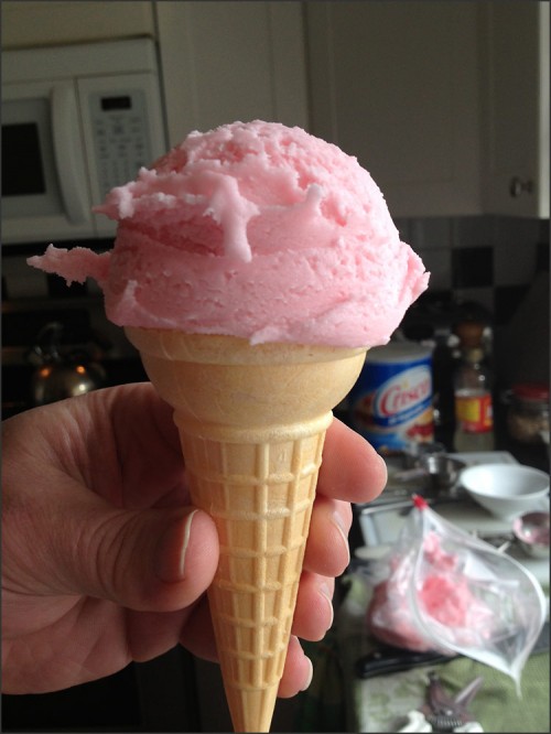Fake Strawberry Ice Cream Cone Photo Prop