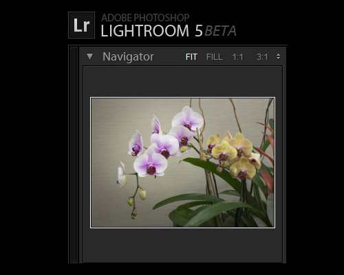 Adobe Lightroom 5 Beta Announced