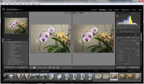 New Radial Gradient Tool In Adobe Lightroom 5 Beta