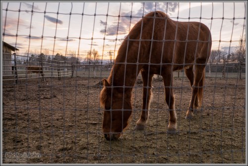 Fujifilm X-E1 - Dynamic Range Sample