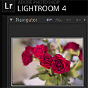 Lightroom 4.4 Update