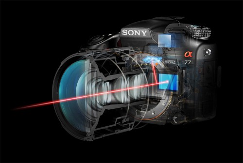 Sony SLT Camera Sensor & Electronic Viewfinder