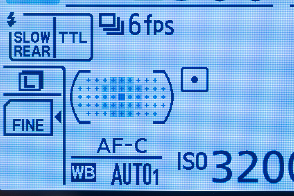 Nikon D7100 51-point AF Array On The Information Display