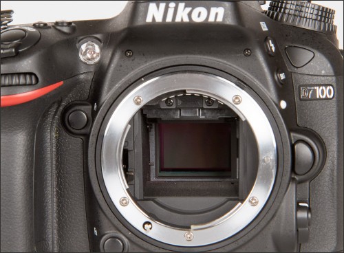 The Nikon D7100's 24-Megapixel DX Sensor