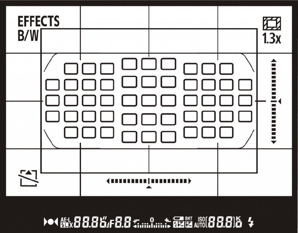 Nikon D7100 Viewfinder With 51-Point AF Array