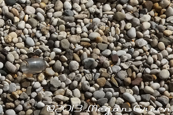 Zeiss Touit 1.8/32 Lens Sample: Rocks Zoomed