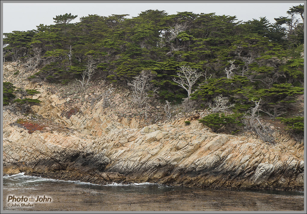 Cliffs & Cypress Trees - Point Lobos - Big Sur