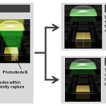 Canon's New Dual Pixel CMOS AF