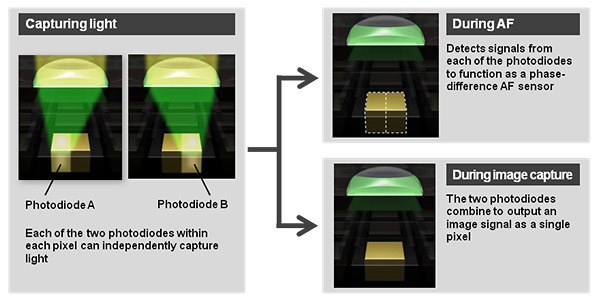 Canon's New Dual Pixel CMOS AF