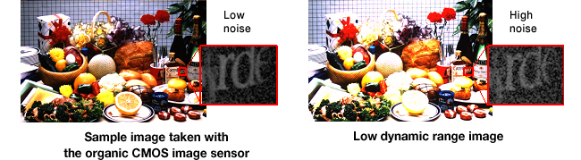 Organic CMOS Sensor Image Quality Comparison