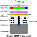 Organic CMOS Sensor