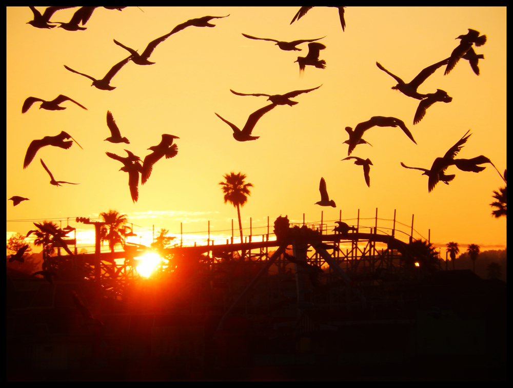 Nikon Coolpix S9500 - Santa Cruz Beach Boardwalk Sunset