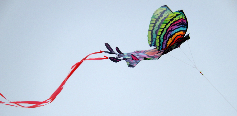 Nikon Coolpix S9500 Kite Photo