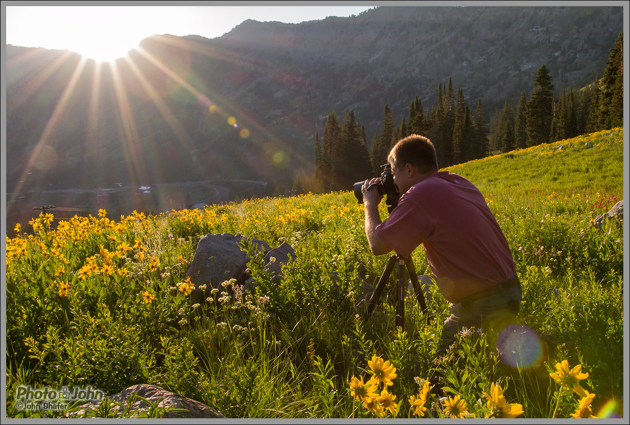 Sigma 18-35mm f/1.8 - Wildflower Photographer