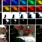 KaleidoCamera Image Output Examples