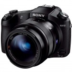 Sony Cybershot RX10 - The Ultimate Fixed Lens Camera