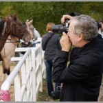 Sony Alpha A7 - Photographing Horses