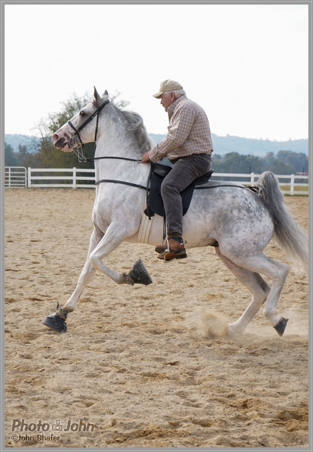 Sony Alpha A7 - Tennessee Walking Horse Cantering