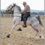 Sony Alpha A7 - Tennessee Walking Horse Cantering