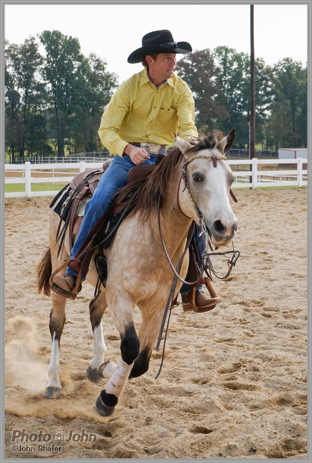 Sony Alpha A7 Galloping Horse Action Test Photo