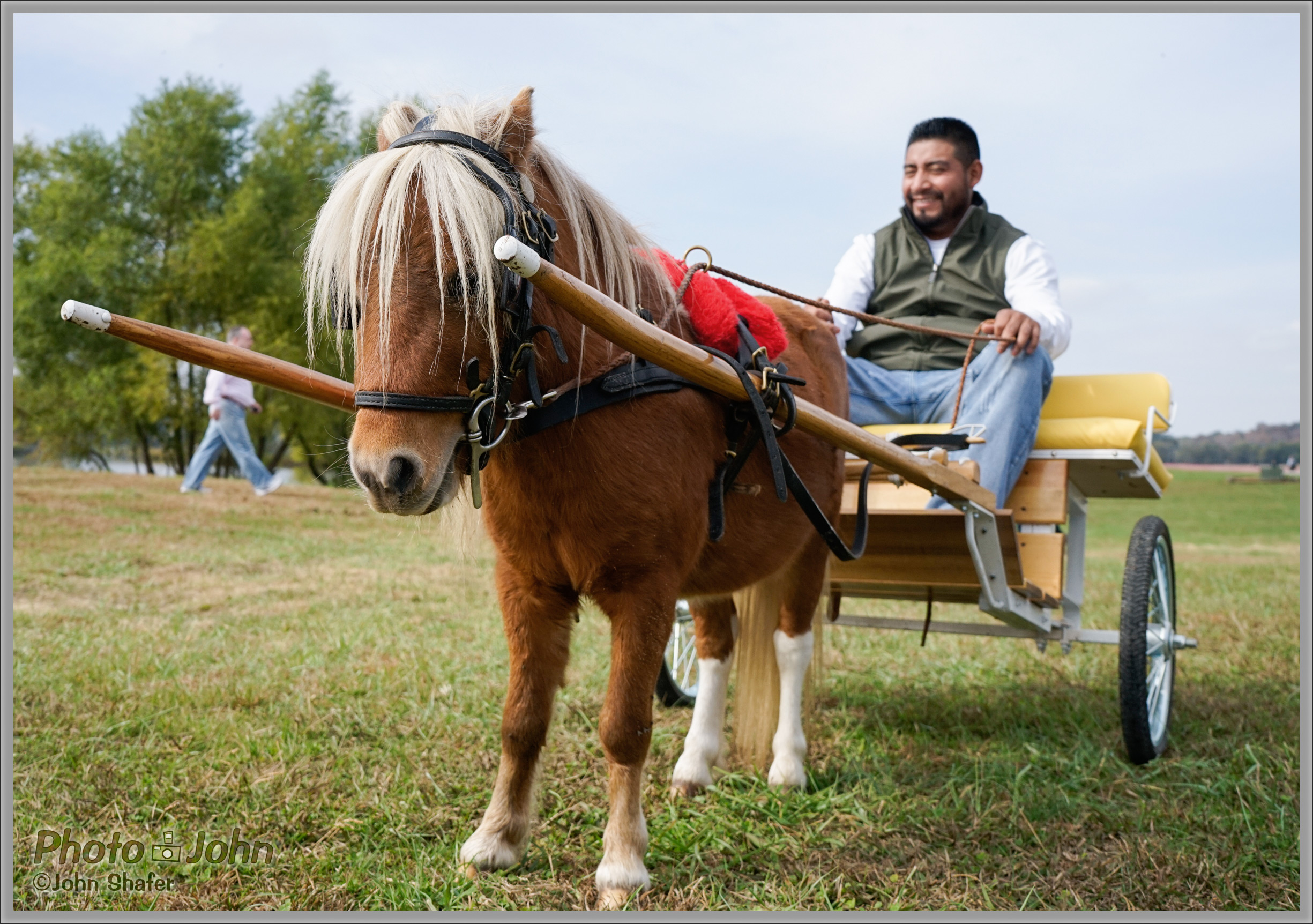 Sony Alpha A7 - Miniature Shetland Pony