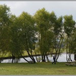 Sony Alpha A7 - Trees & Pond - Tennessee