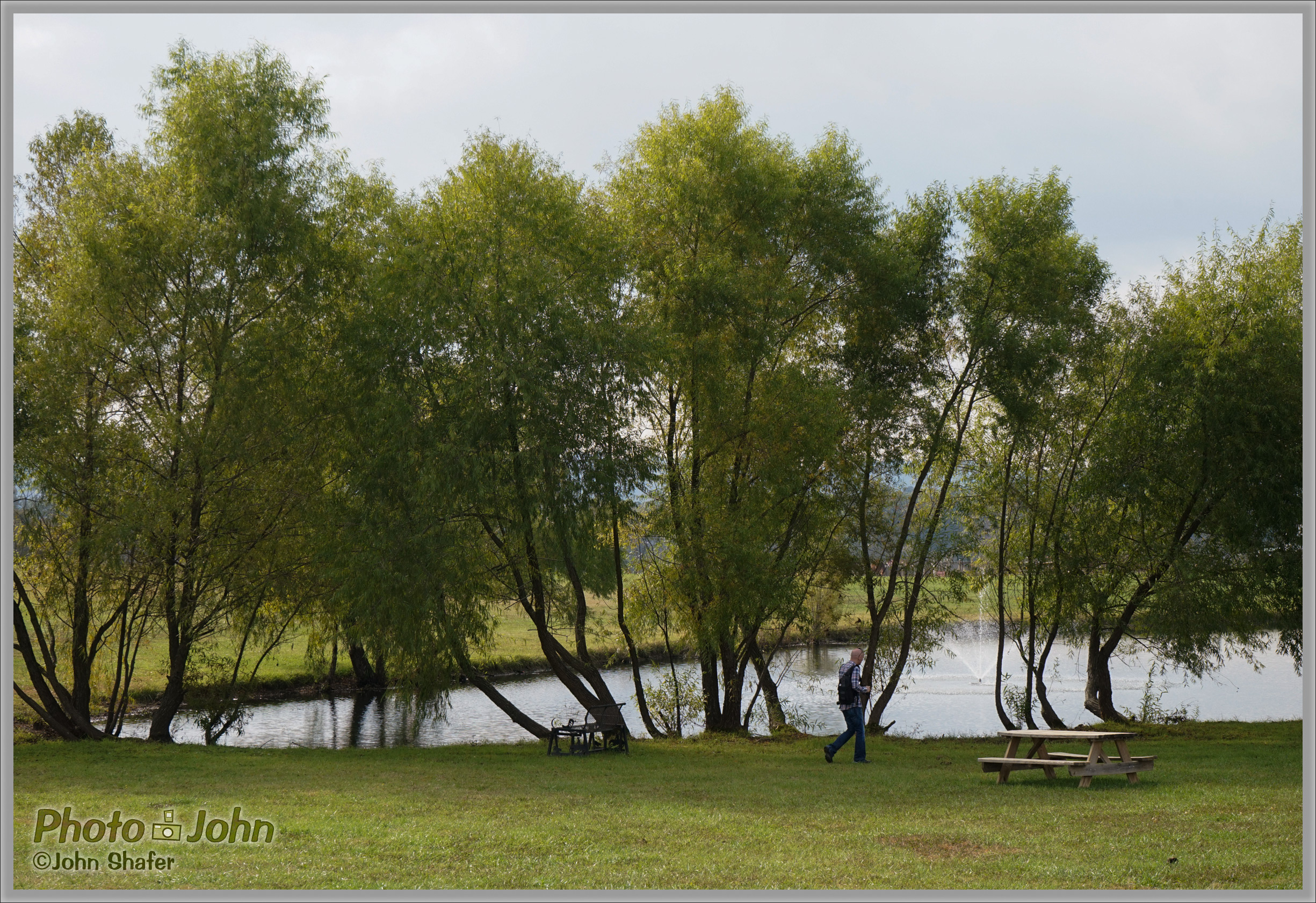 Sony Alpha A7 - Trees & Pond - Tennessee