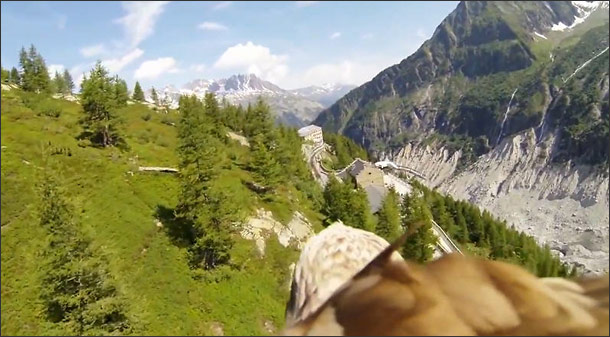 Where Eagles Dare - Bird's Eye POV Aerial Video