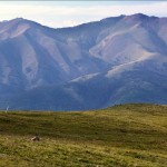 Fujifilm FinePix F900EXR - Tiny Rider - Colorado Trail