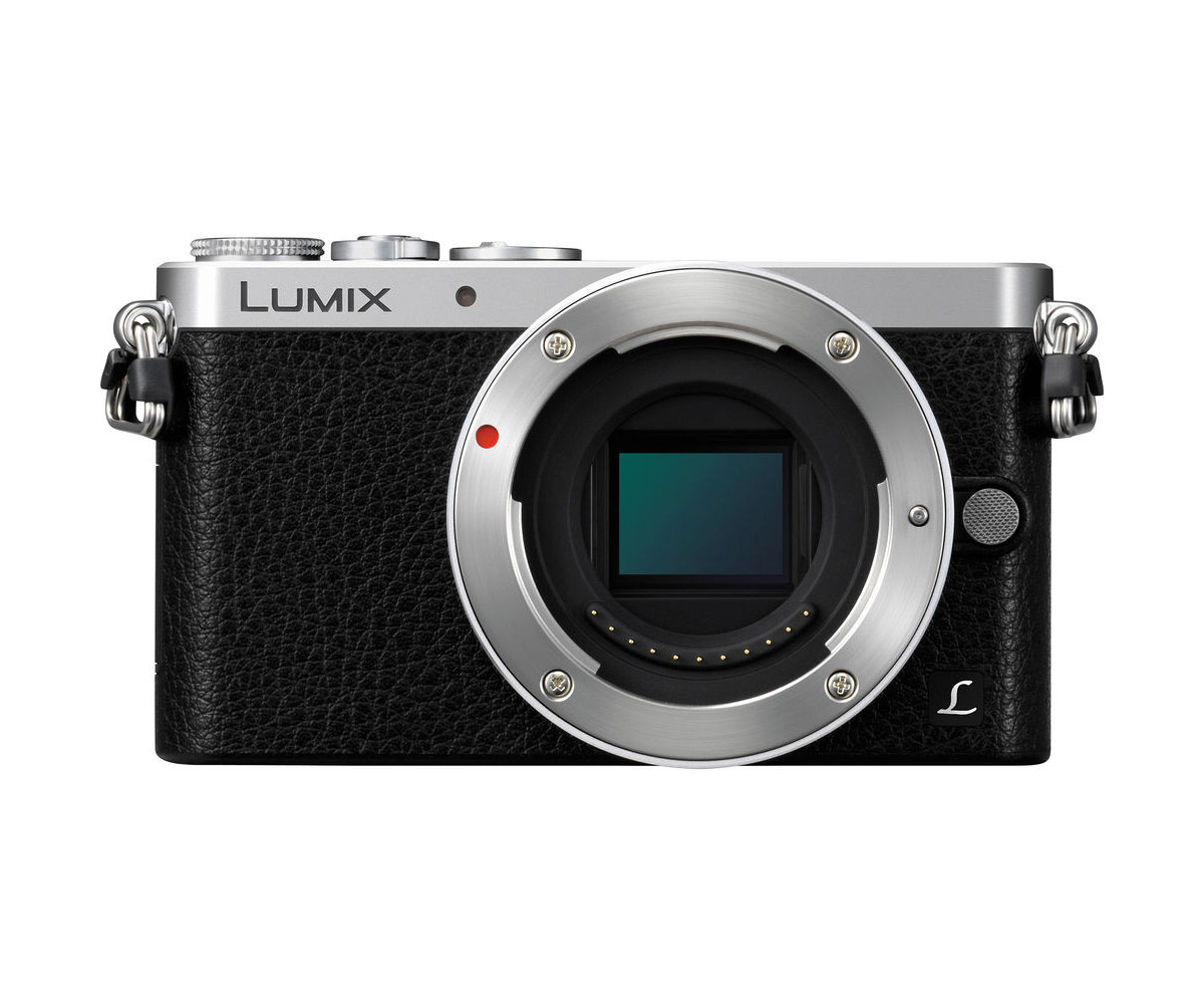 Panasonic Lumix GM1 - No Lens