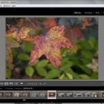 Adobe Lightroom 5.3 Release Candidate Available