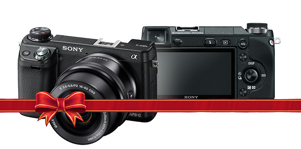 Sony Alpha NEX-6 - Holiday Mirrorless Camera Guide