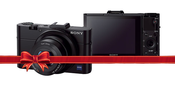 Sony Cybershot HX50V - Holiday Point-and-Shoot Camera Guide