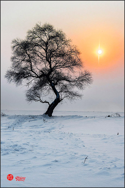 "Solitude tree & setting sun" by Richard Hla